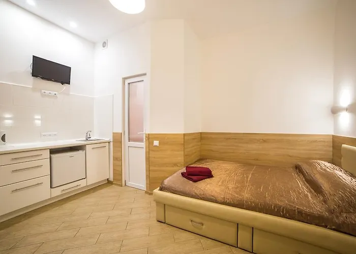 смарт економ з ремонтом в центрі アパート